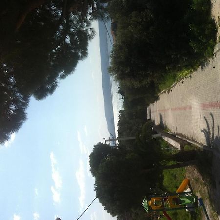 Pasalimani Hotel Çeşme 외부 사진