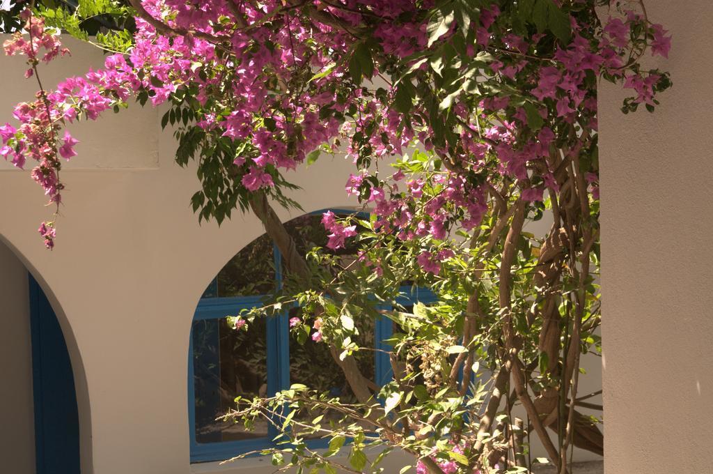Pasalimani Hotel Çeşme 외부 사진