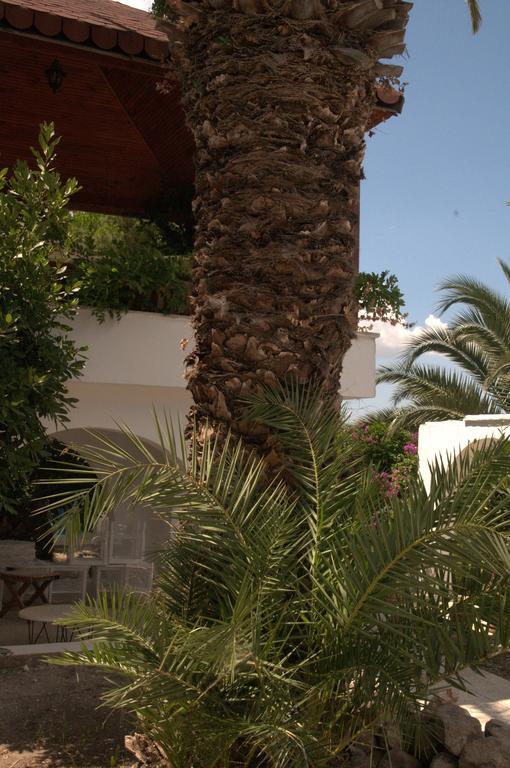 Pasalimani Hotel Çeşme 외부 사진