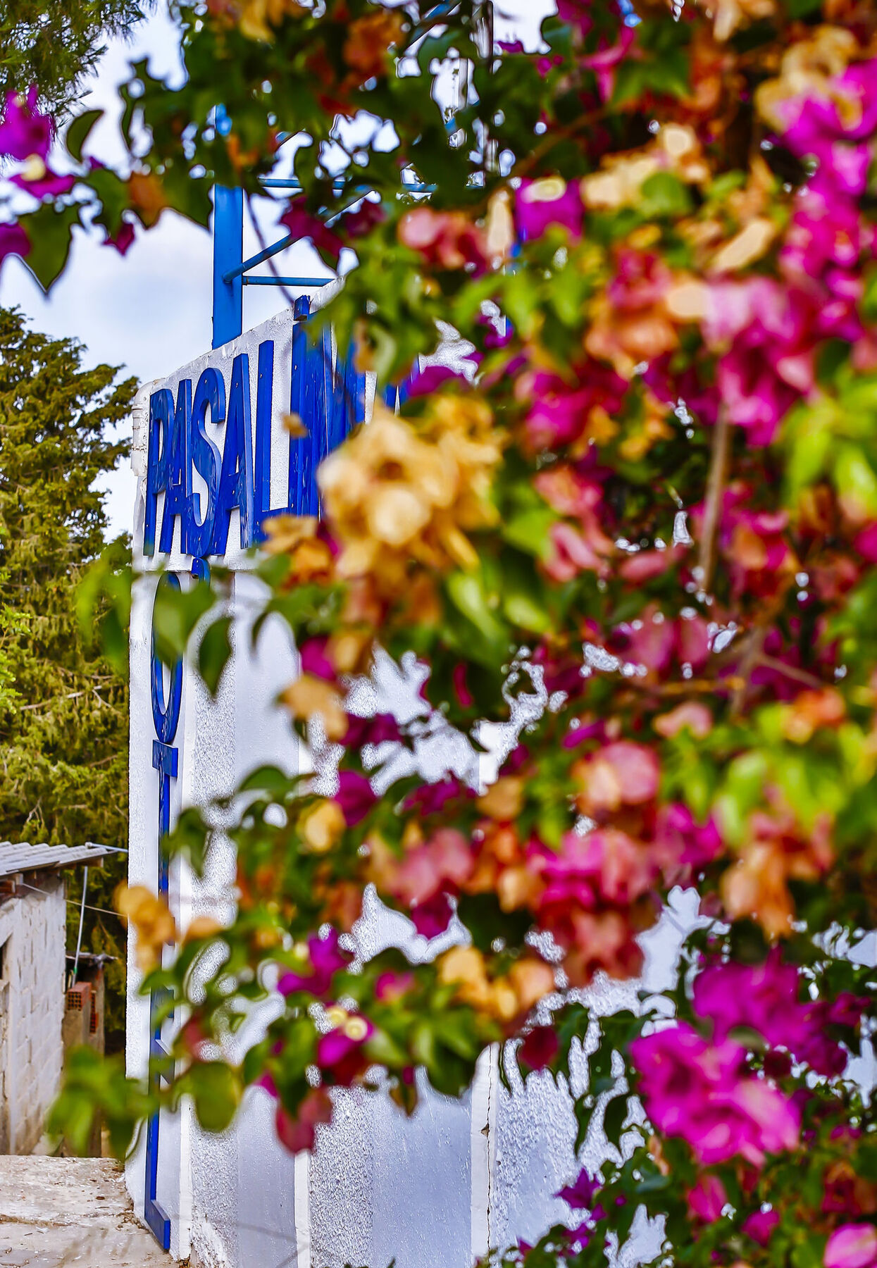 Pasalimani Hotel Çeşme 외부 사진